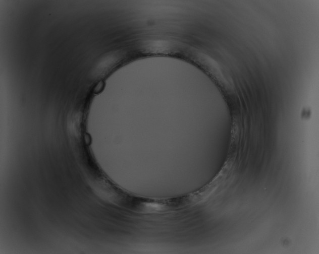 X0000102810167200809081116