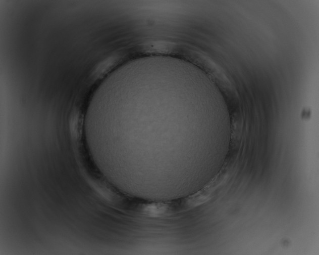 X0000102810168200809081116