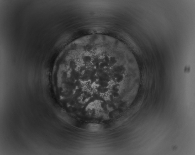 X0000102810169200809081116