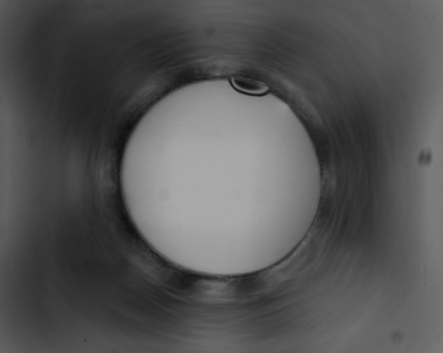 X0000102810170200809081116