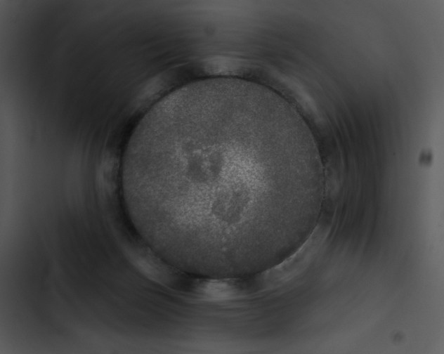 X0000102810171200809081116