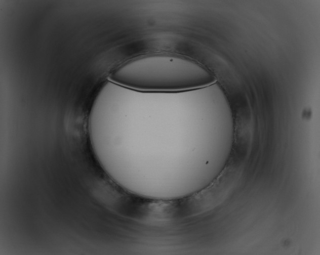 X0000102810172200809081116