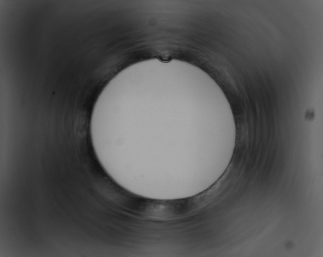 X0000102810174200809081116