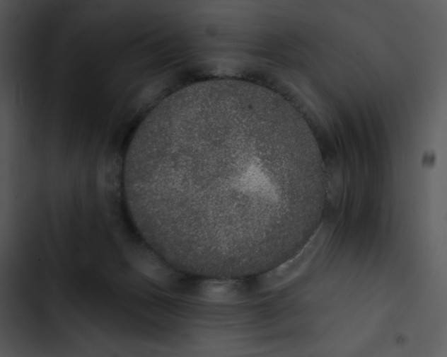 X0000102810175200809081116