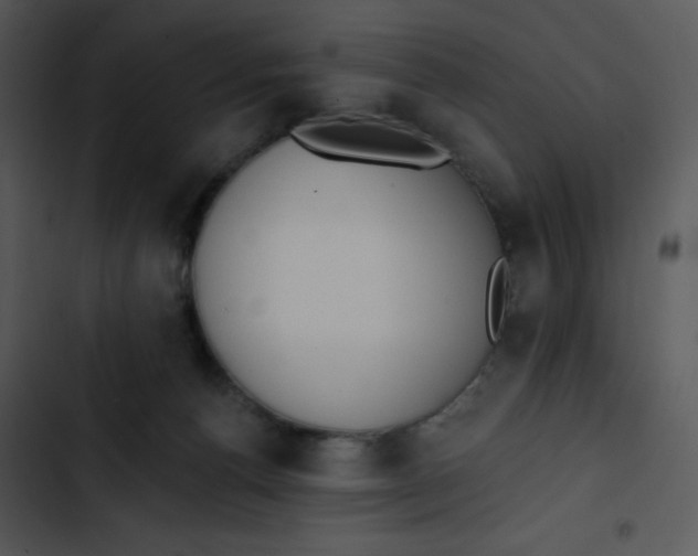 X0000102810176200809081116