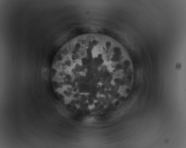 X0000102810177200809081116