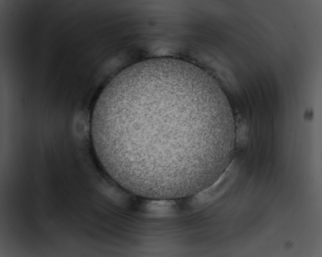 X0000102810179200809081117