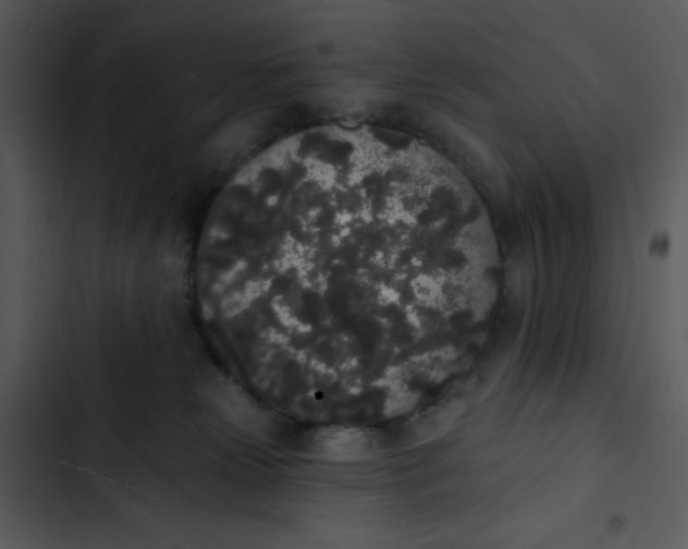 X0000102810181200809081117