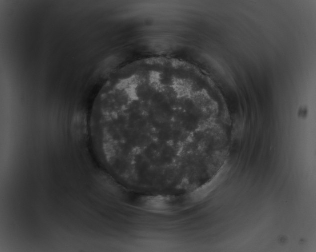 X0000102810182200809081117