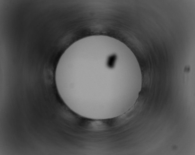 X0000102810183200809081117