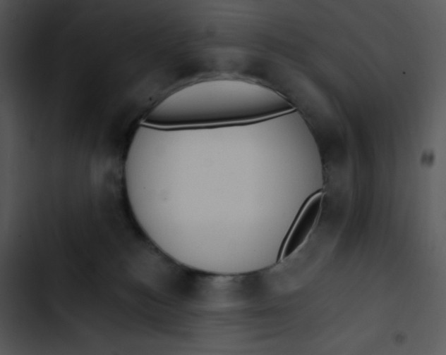 X0000102810184200809081117