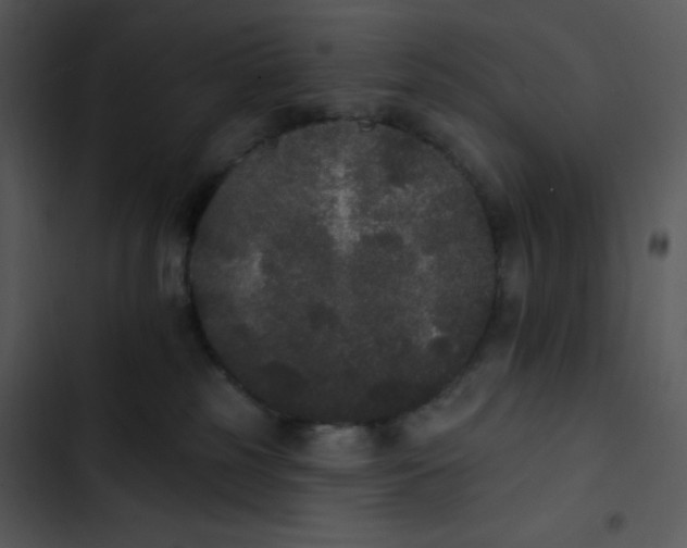 X0000102810185200809081117