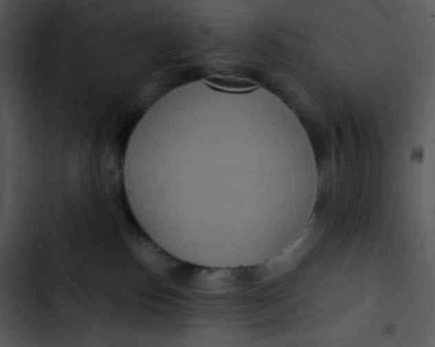 X0000102810186200809081117