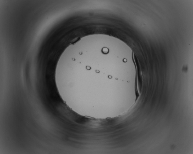 X0000102810190200809081117