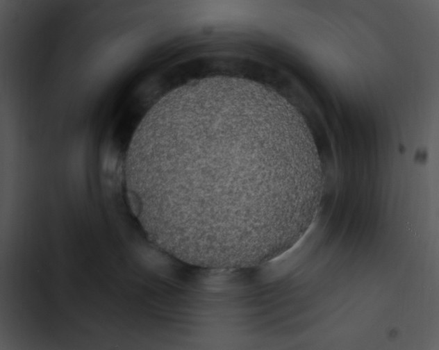 X0000102810191200809081117