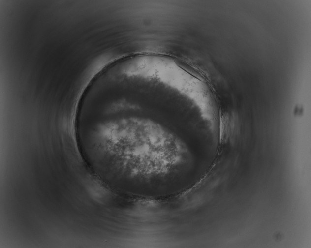 X0000102810195200809081116