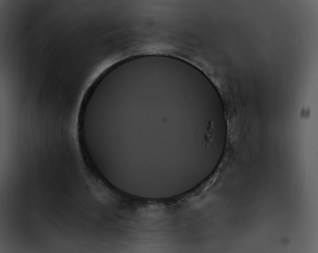 X0000102810196200809081116