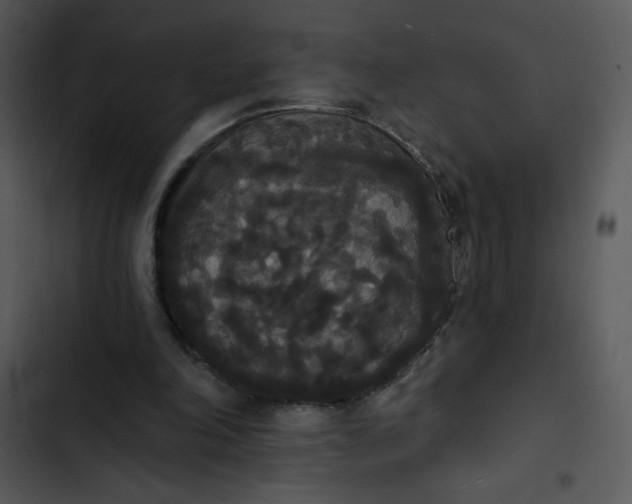 X0000102810198200809081116