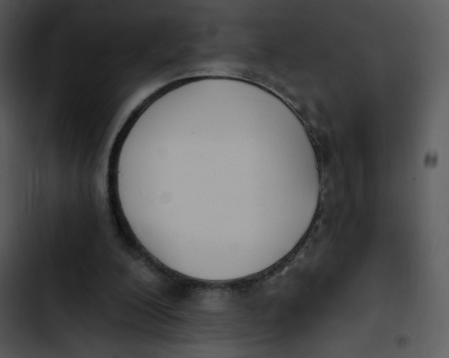 X0000102810200200809081116