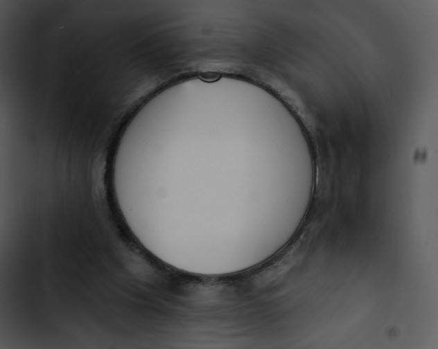 X0000102810201200809081116