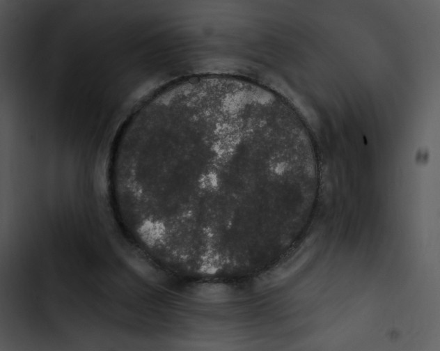 X0000102810203200809081116