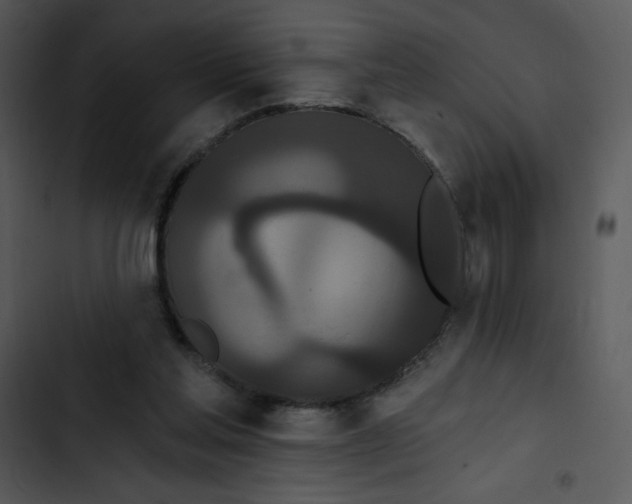 X0000102810205200809081116