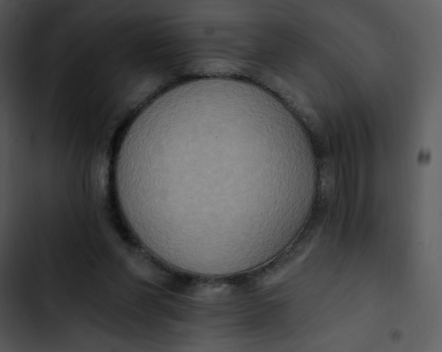 X0000102810206200809081116