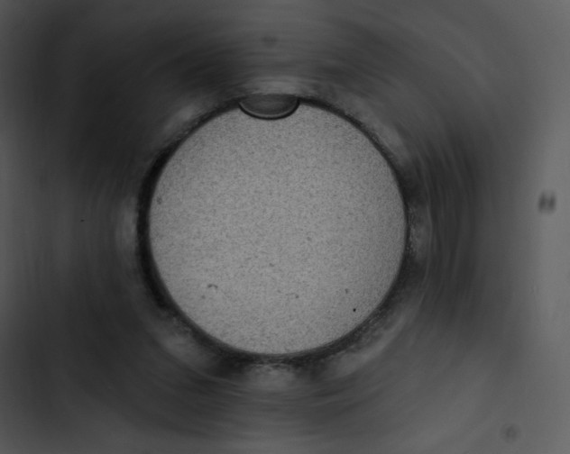 X0000102810207200809081116