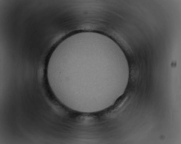 X0000102810208200809081116