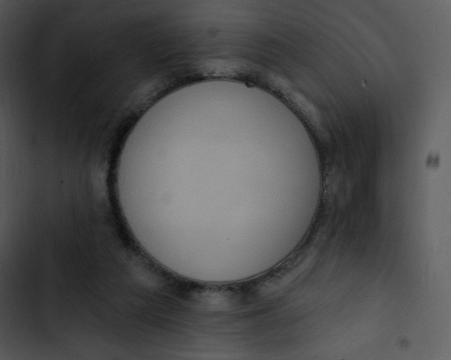 X0000102810209200809081116