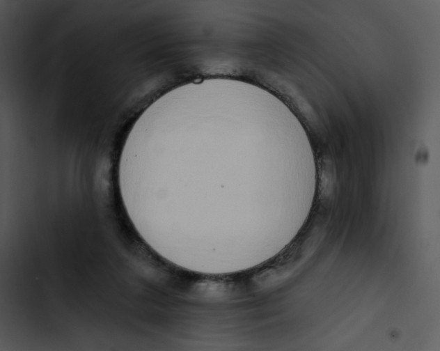 X0000102810211200809081116