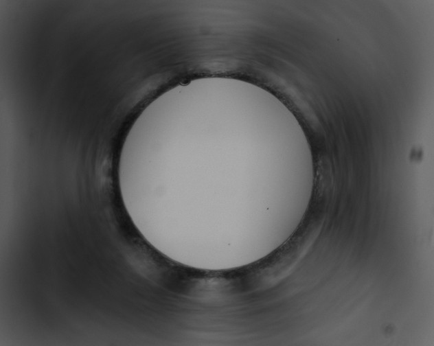 X0000102810212200809081116