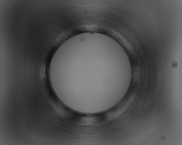 X0000102810213200809081116