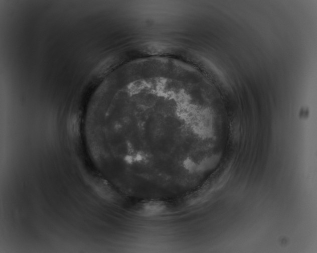 X0000102810214200809081116