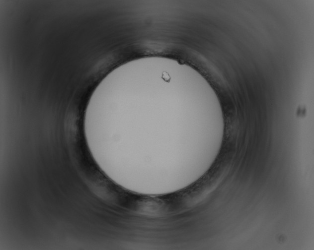 X0000102810215200809081116