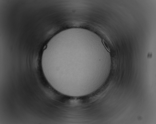 X0000102810216200809081116