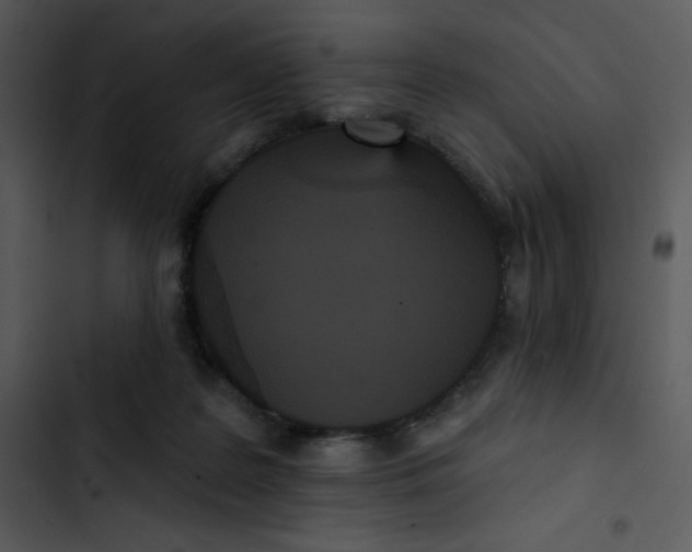 X0000102810219200809081116