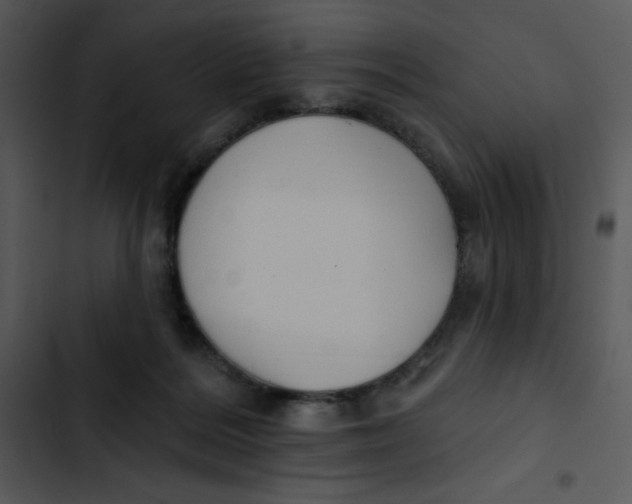 X0000102810220200809081116