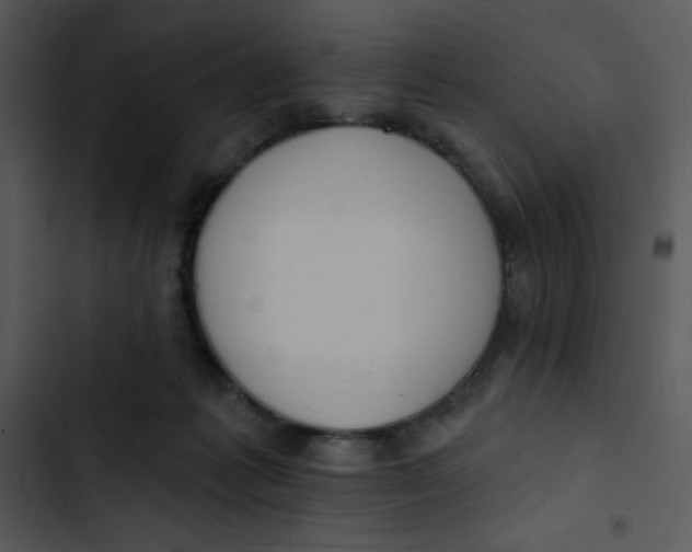 X0000102810221200809081116