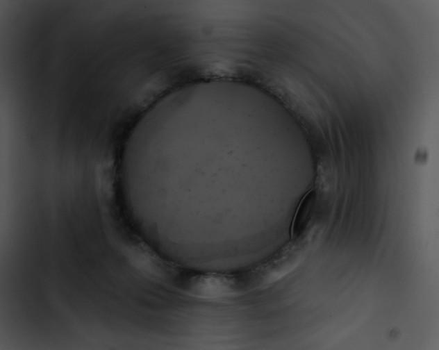 X0000102810223200809081116