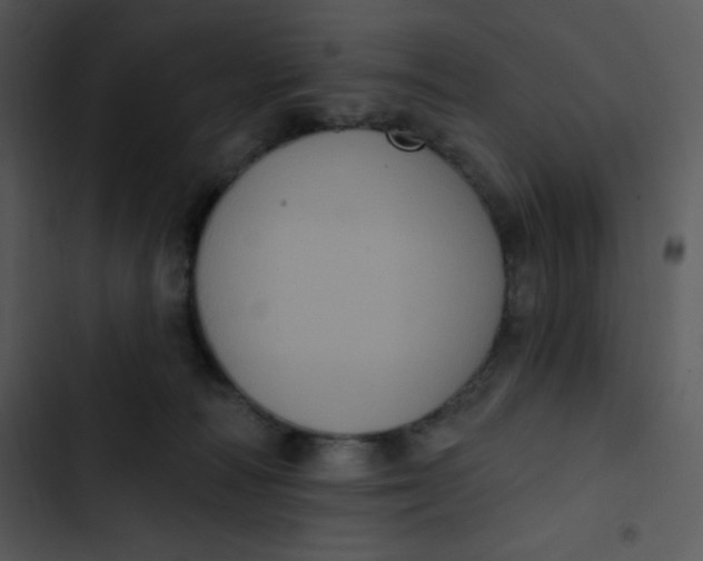 X0000102810226200809081116