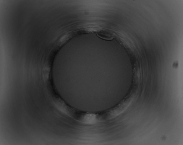 X0000102810227200809081116