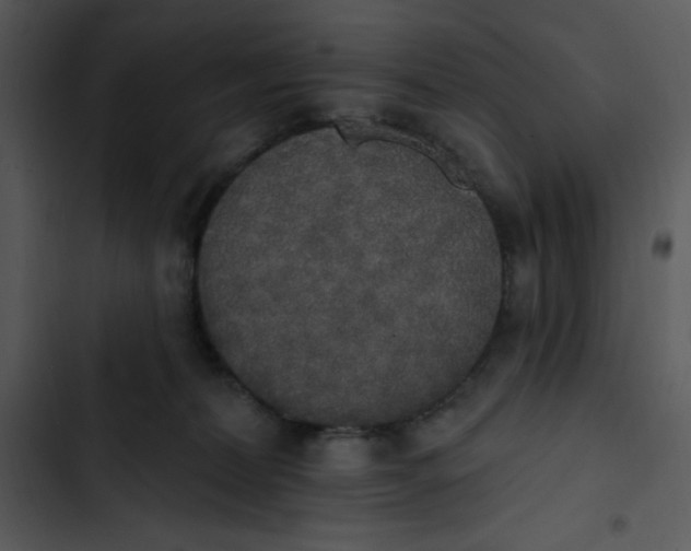 X0000102810228200809081116