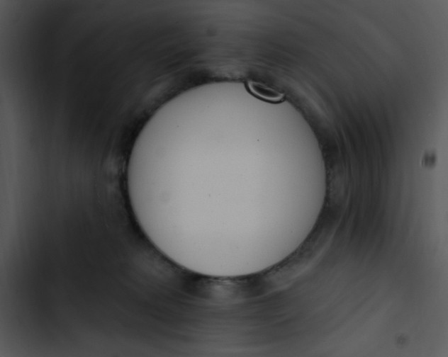 X0000102810229200809081116