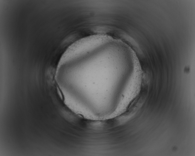 X0000102810237200809081115