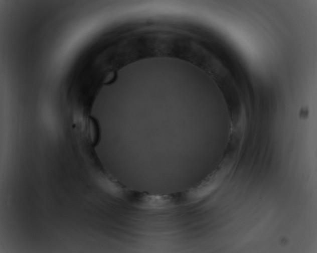 X0000102810239200809081115