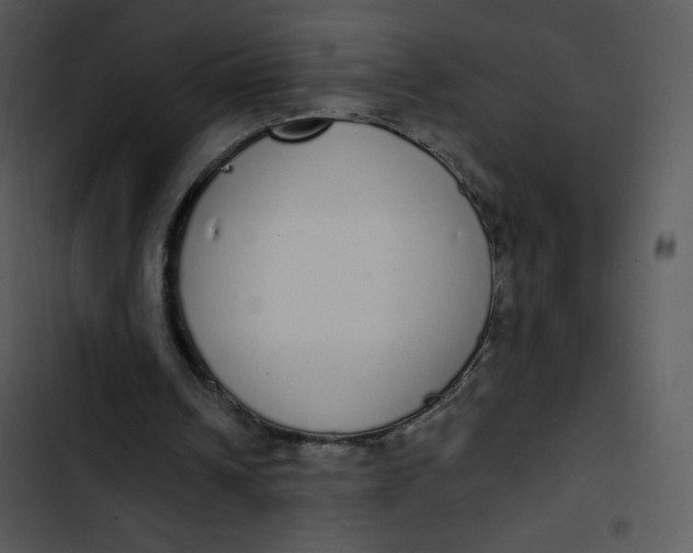 X0000102810242200809081115