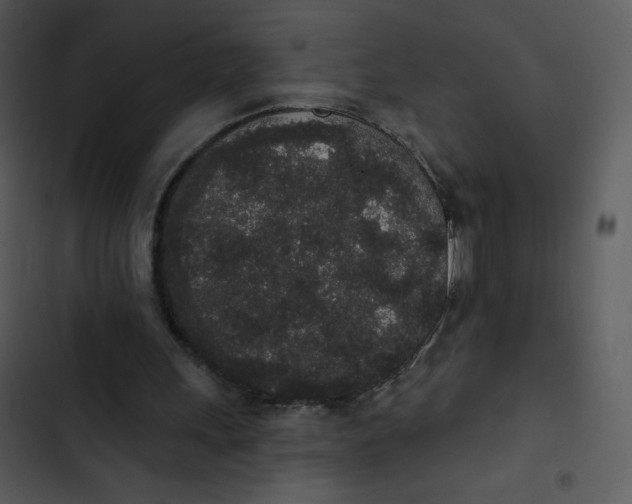 X0000102810243200809081115