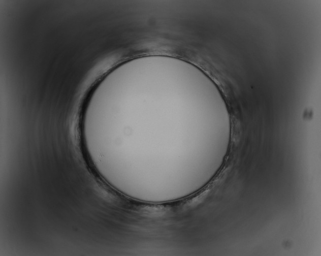 X0000102810245200809081115