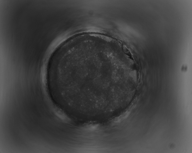 X0000102810247200809081115